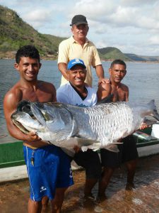 Pescador captura peixe gigante no Rio São Francisco em Piranhas/AL