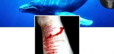 Vídeo: ‘Desafio da Baleia Azul – Jogos Mortais’, com Vanessa Tanaka