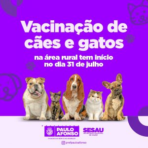 Vacinação antirrábica de cães e gatos na área rural tem início nesta segunda (31)